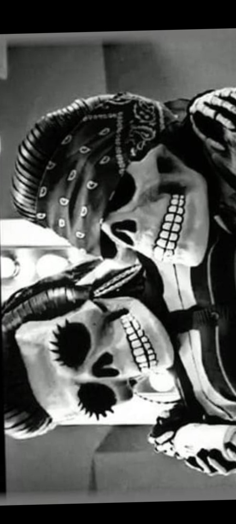 BU1313LEZ banner image