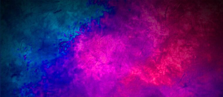Bubble Bullet banner image