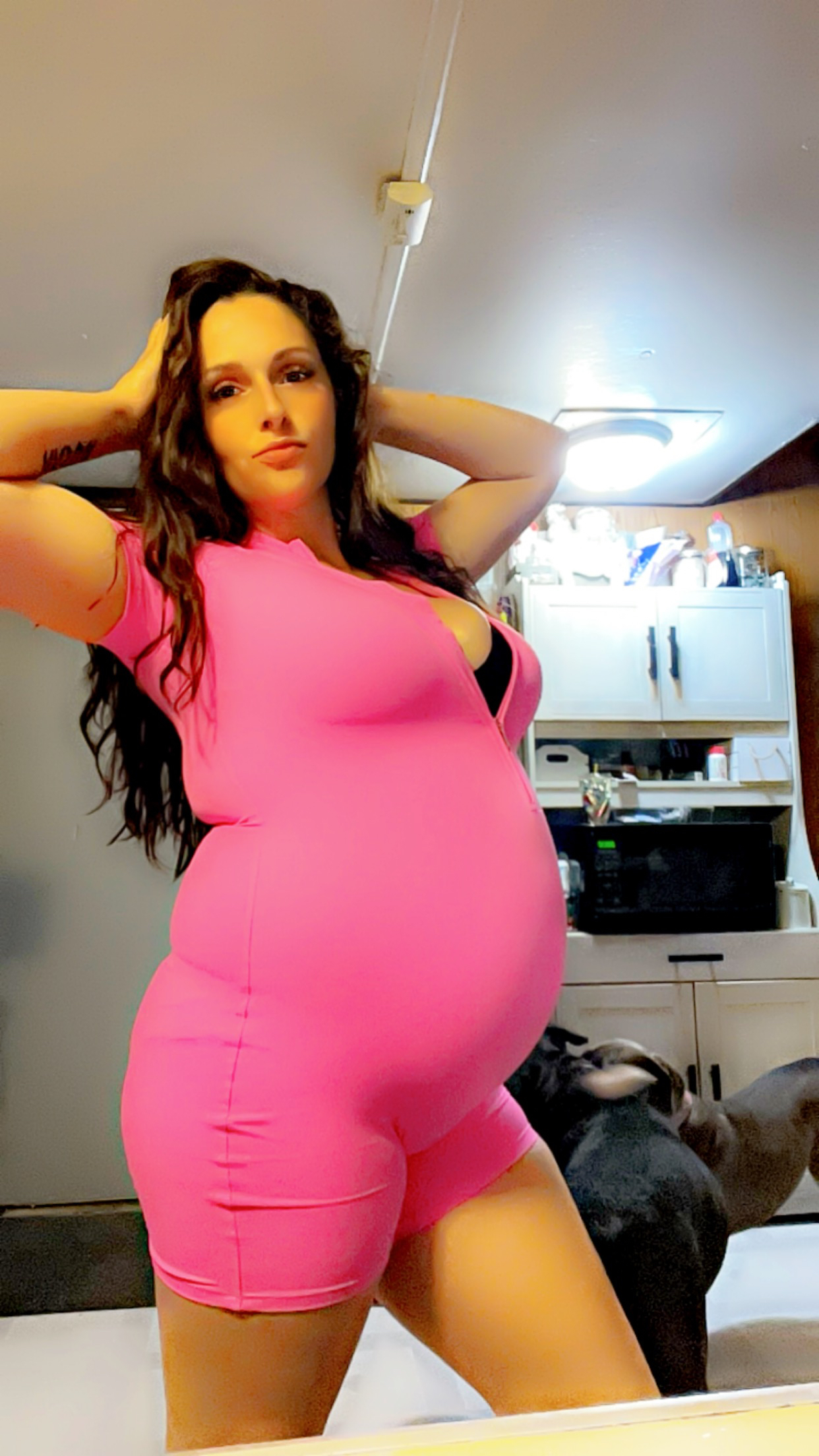 Bubble Gum Belly banner image