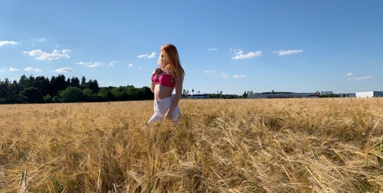budbaby banner image