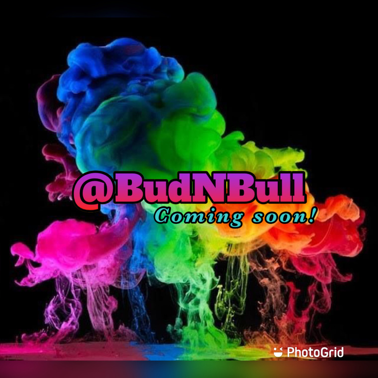 Bud N Bullshit ¡ Unfiltered ! cover image