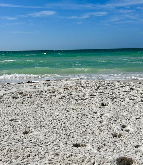 🍑Lucy🍑 cover image