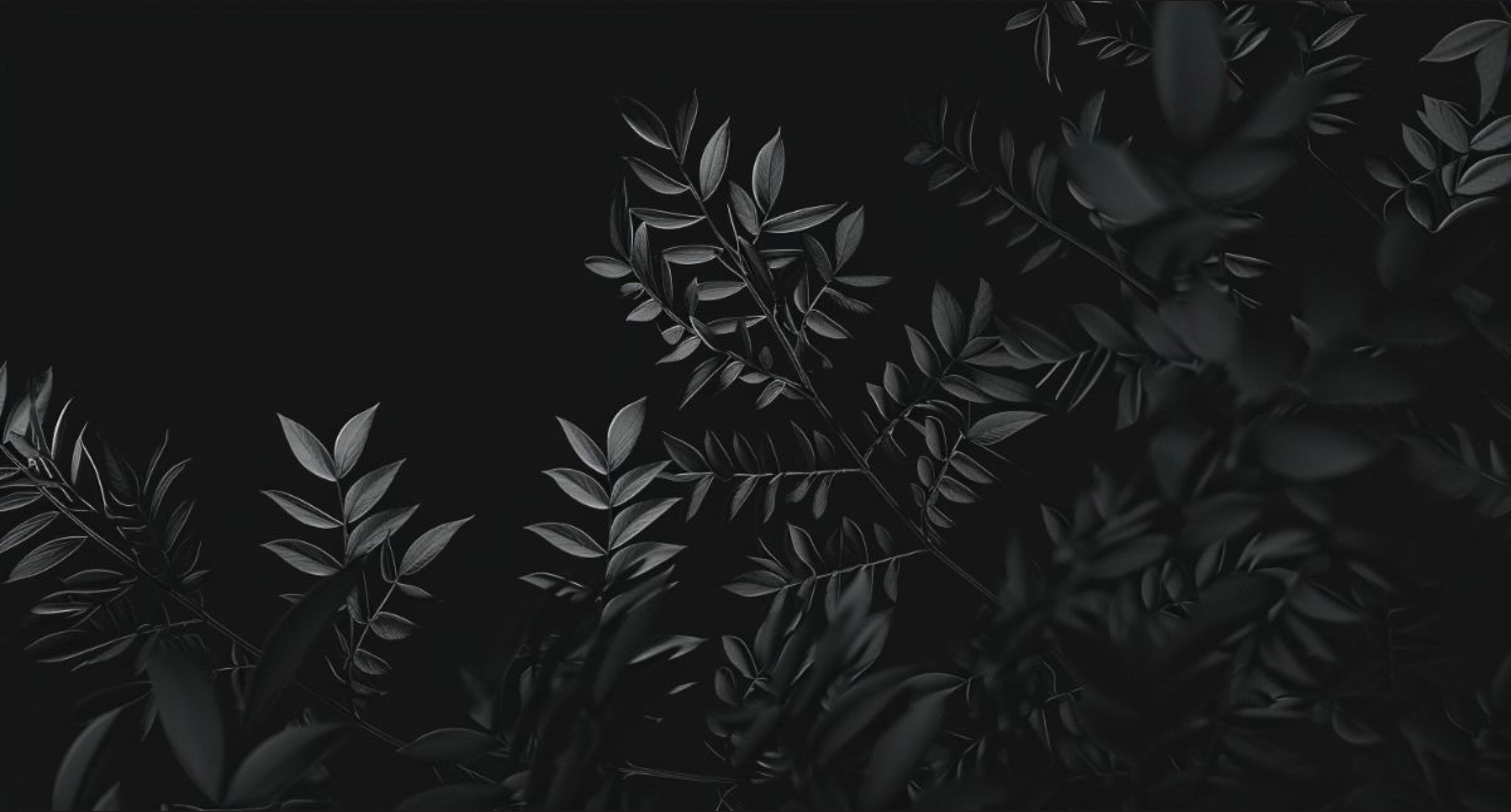 Your favourite 🖤 banner image