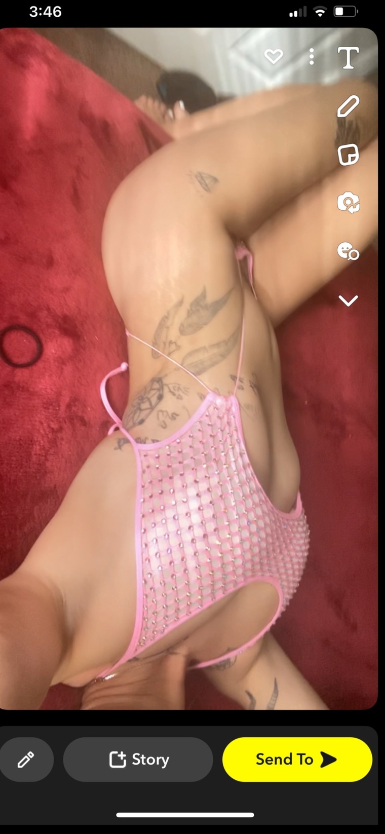 Bugz_Bunnie69 cover image