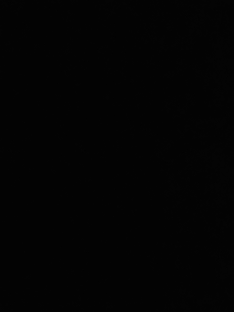 Bam banner image