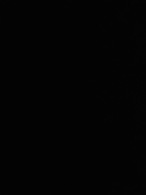 Bam cover image
