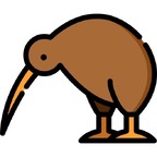 Kiwi avatar