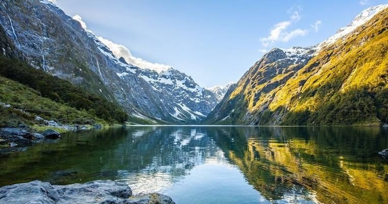 Kiwi banner image