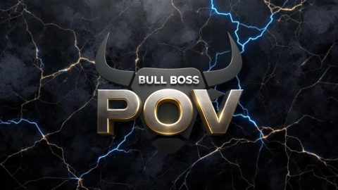 BullBossPOV cover image