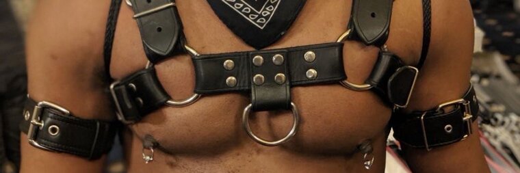 BULL, Interrupted cover image