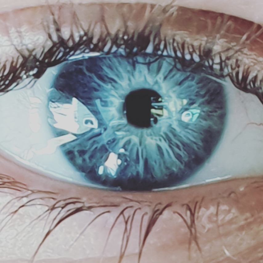 Bull Jamison banner image