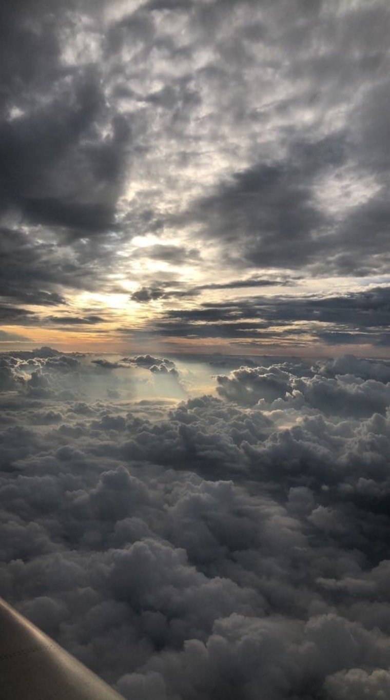 Alex cover image