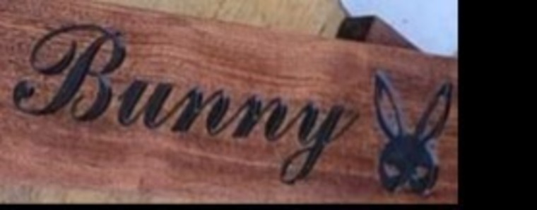 Bunny banner image