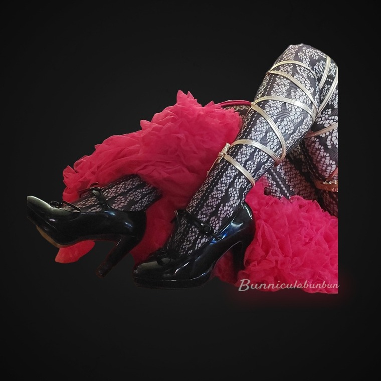 Bunicula banner image