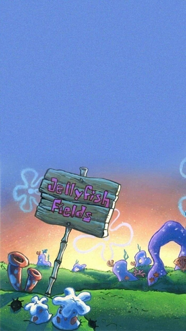 Scarlette banner image