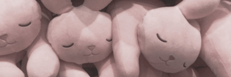 ally cover image