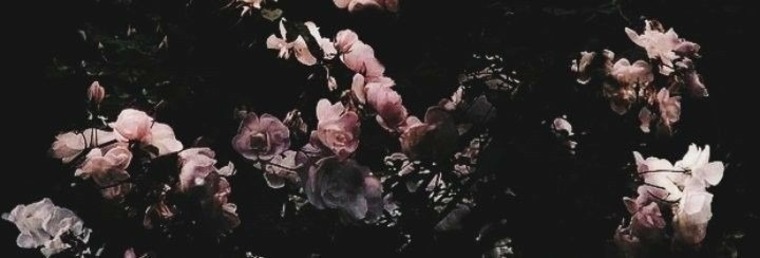 Bunnii ♡ banner image
