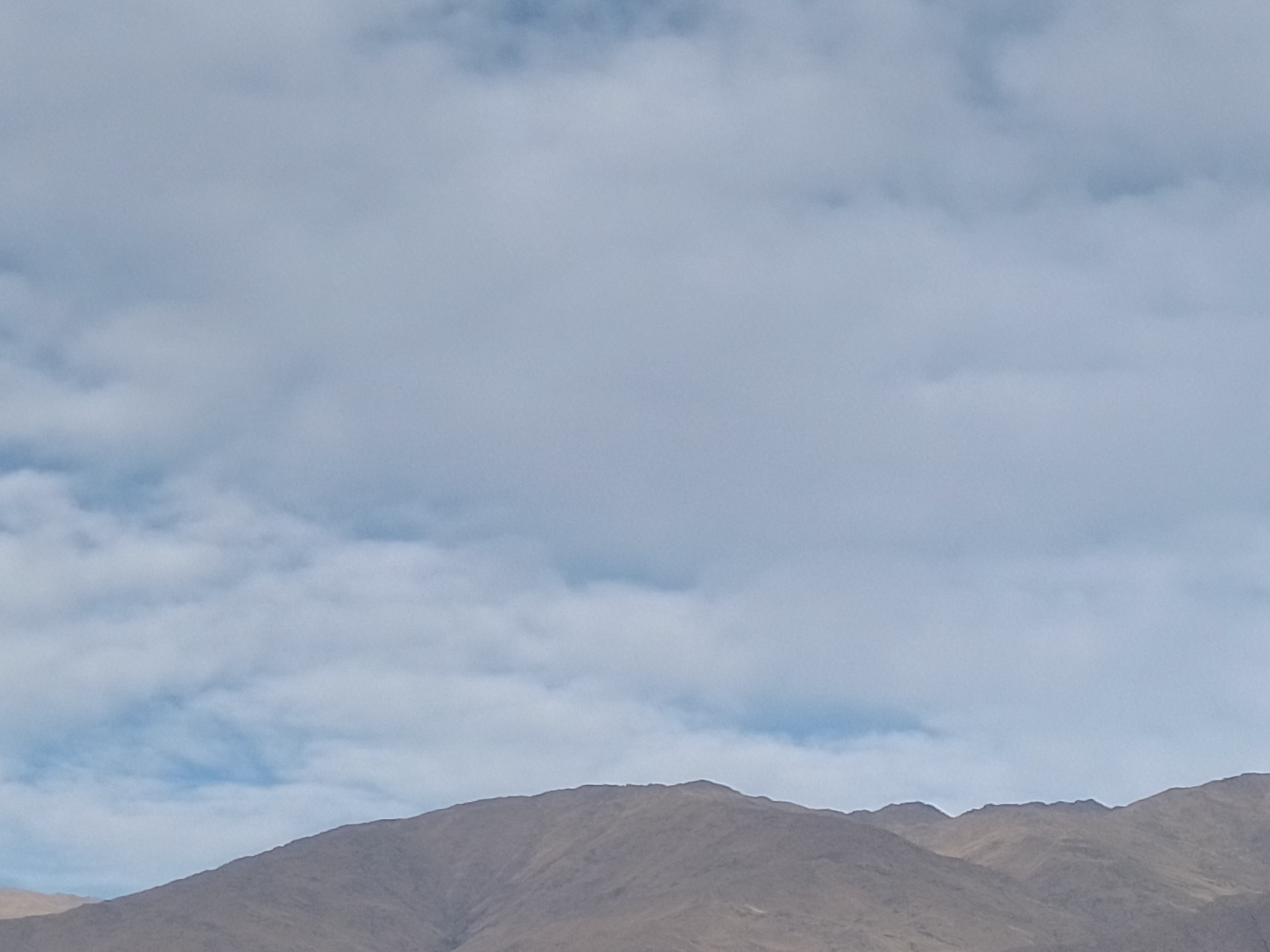 Coneejaaa banner image