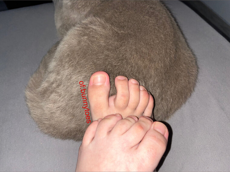 BunnyToes🐰 cover image
