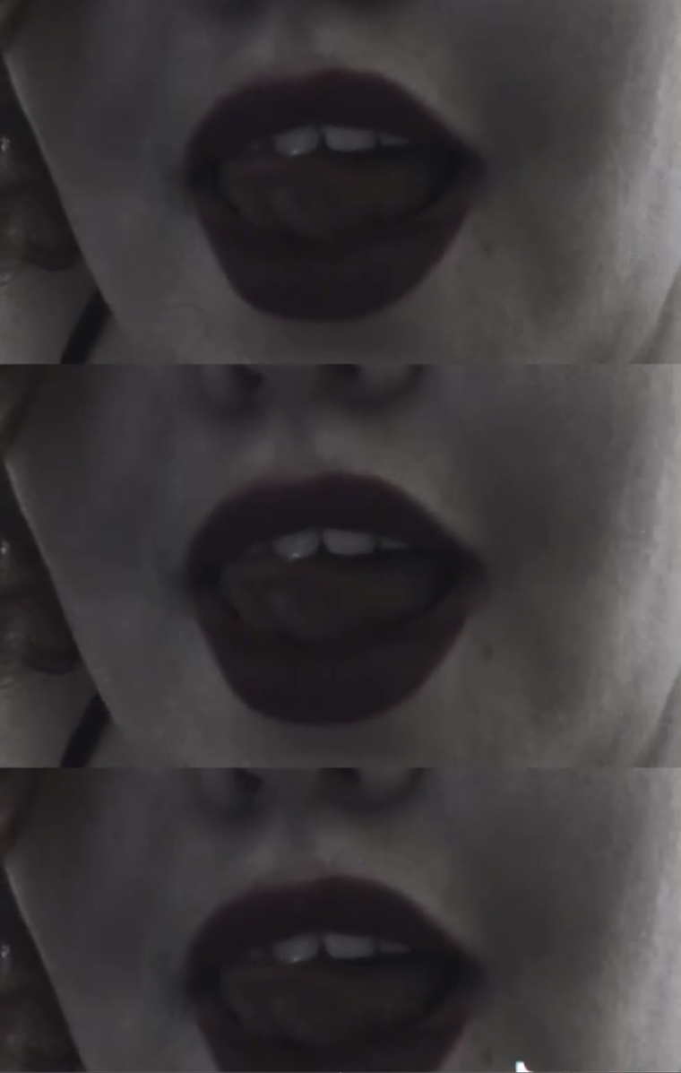 Bunny with Bite 🐰 cover image