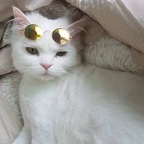 Bambi avatar