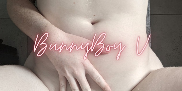 BunnyBoyV banner image