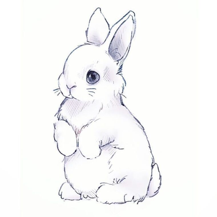 BunnyDuo cover image