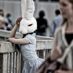 Blue Bubble Bunny avatar