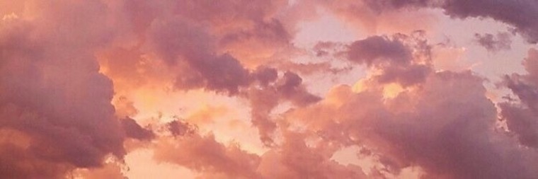 Bunnygirl banner image