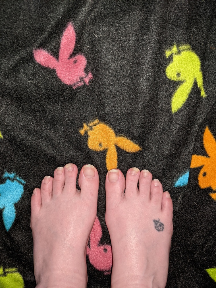 BunnyGrl cover image