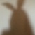 SnowBunnyNextDoor avatar