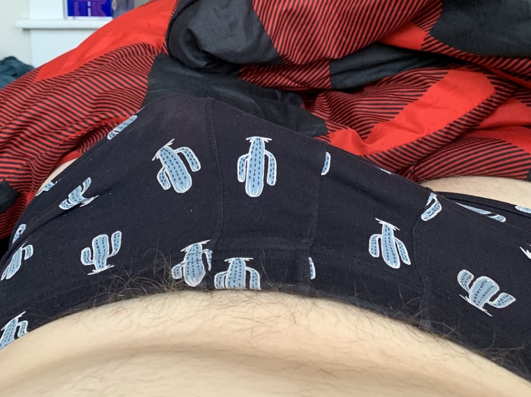 Nelly AF cover image