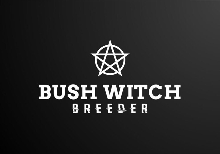 BushWitchBreeder cover image