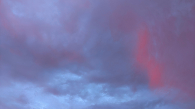 Busty Bambi banner image