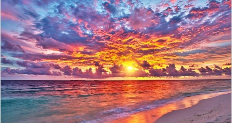 Busty Blonde Beach banner image