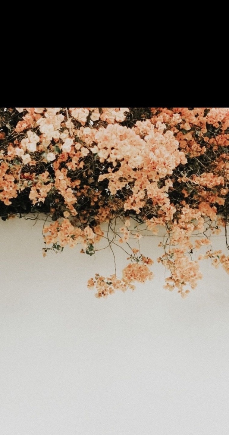 u338365091 banner image