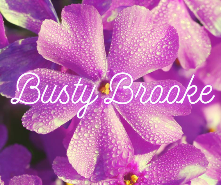 Busty Brooke VIP cover image