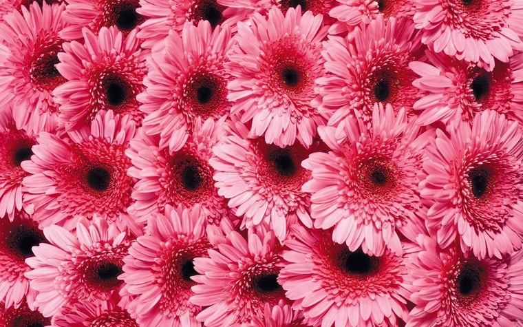 Busty Gardener banner image