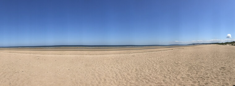 BustyGermanFeet cover image