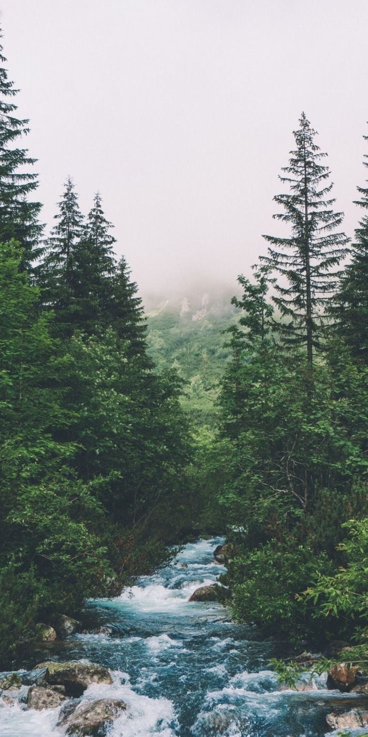 BustyKailOhMy cover image