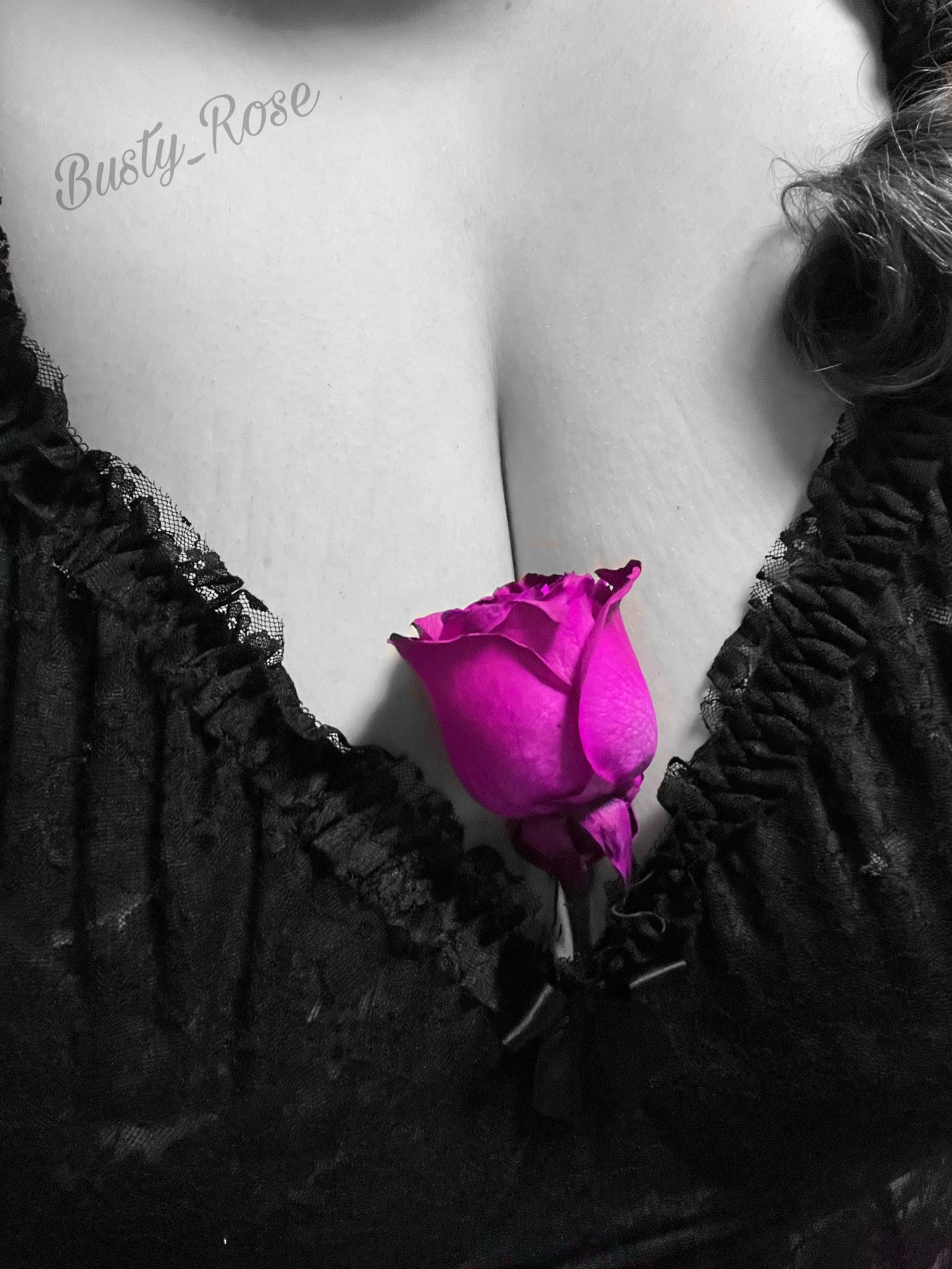 Busty Rose banner image
