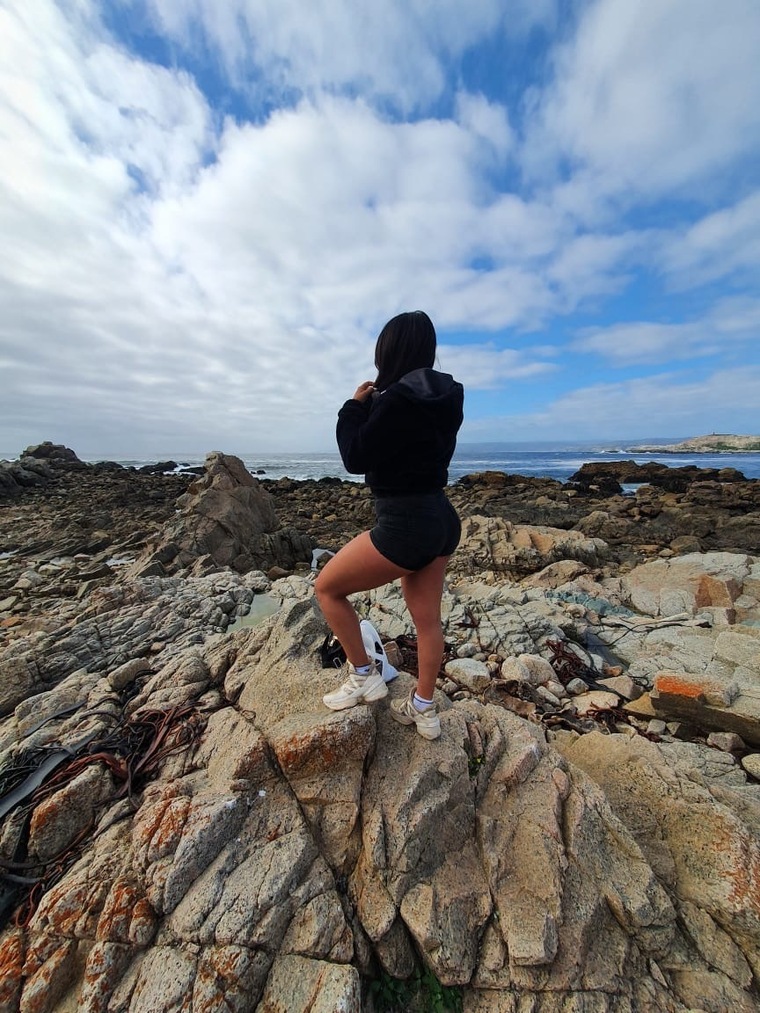 ButterFlyFit23 cover image