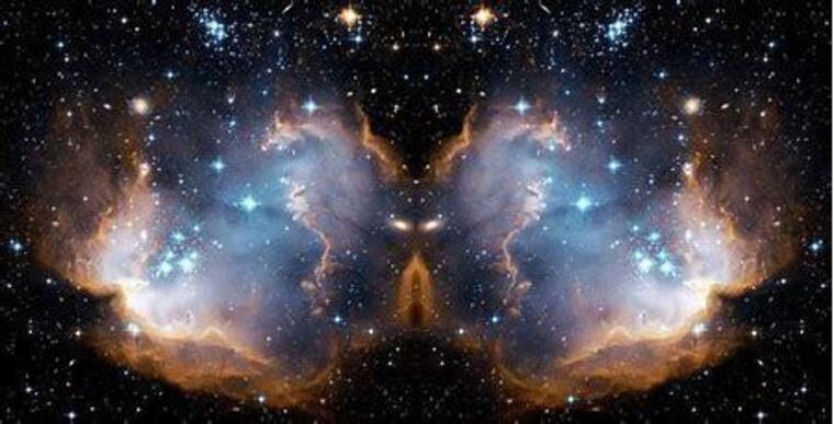 Butterfly Jonez banner image