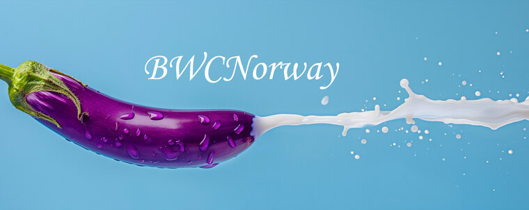 BWCNorway cover image