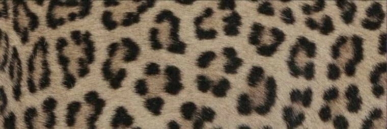 Baby banner image