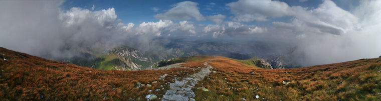 B cover image