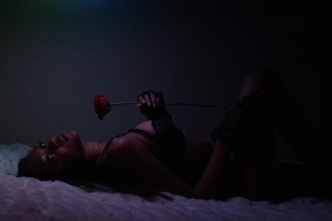 yasminlove cover image