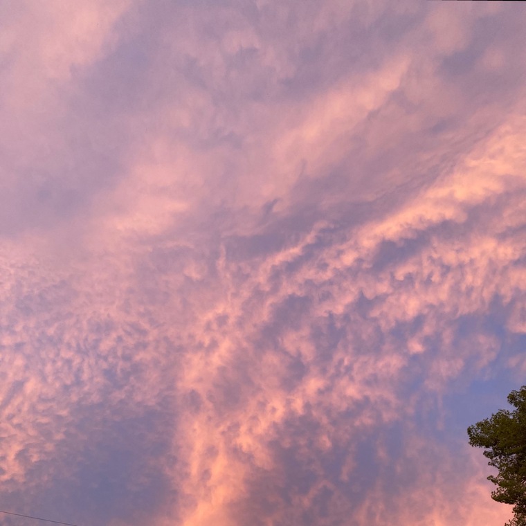 C00lkat420 banner image