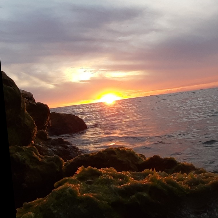 Caballota ebano cover image