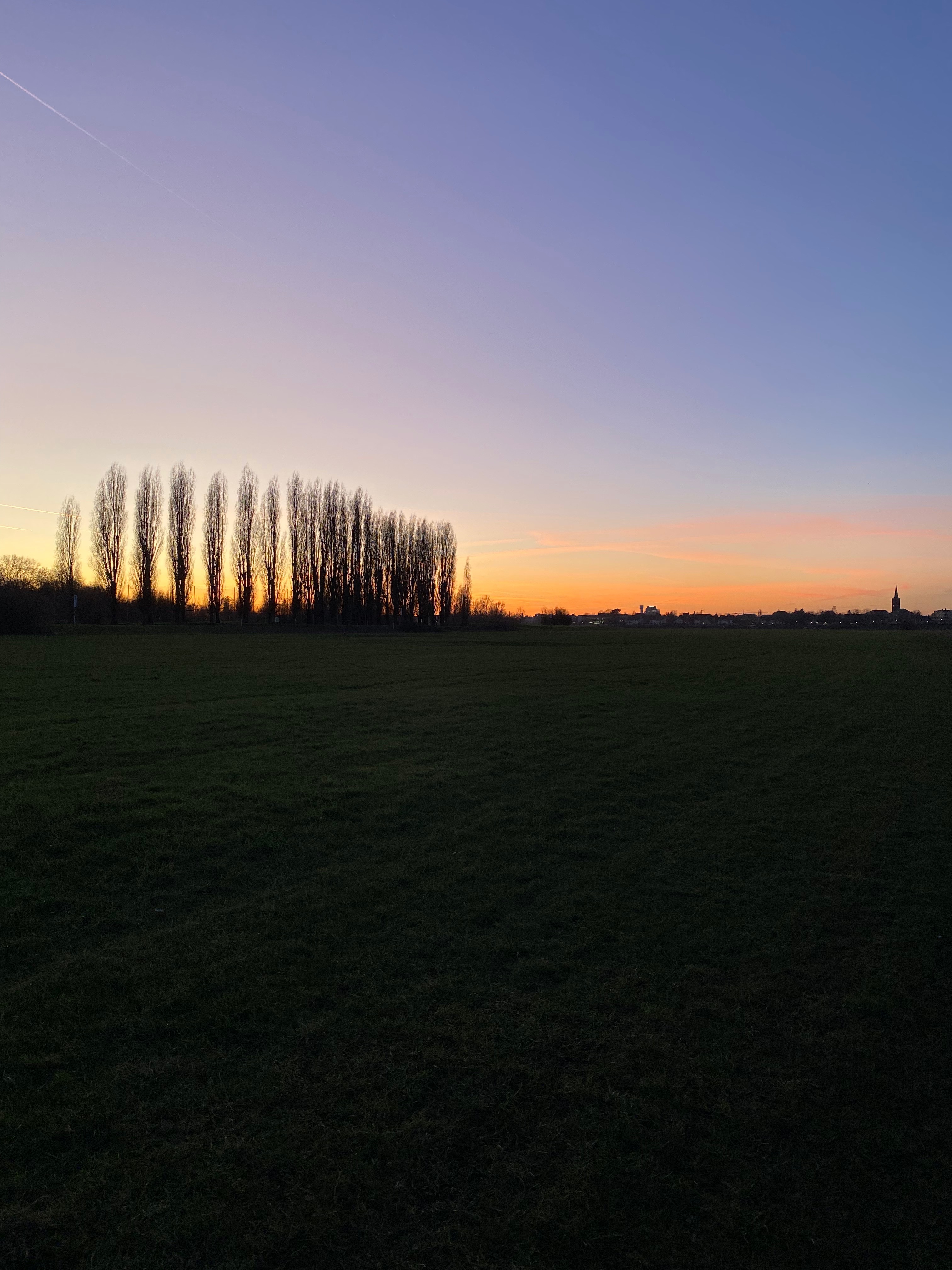 Caca banner image